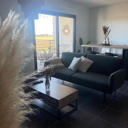 Appartement Vue Vigne Perpignan Eksteriør bilde