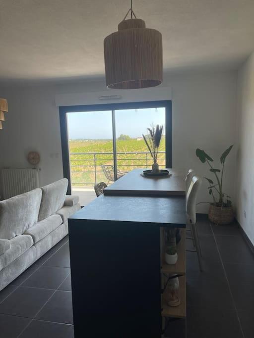 Appartement Vue Vigne Perpignan Eksteriør bilde
