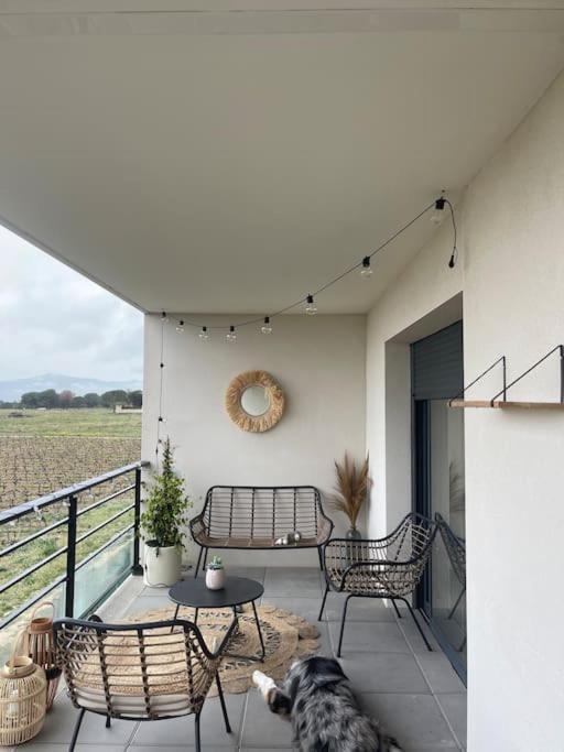 Appartement Vue Vigne Perpignan Eksteriør bilde
